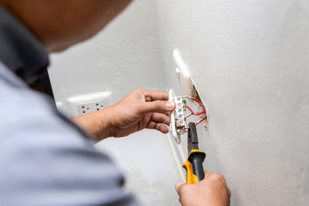 Best Electrical Repair Services  in Bellevue, MI